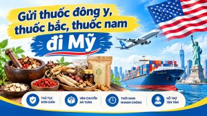 Gửi thuốc đông y, thuốc bắc, thuốc nam đi Mỹ giá rẻ, uy tín, nhanh chóng