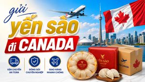 Gửi yến sào đi Canada giá rẻ, uy tín, nhanh chóng