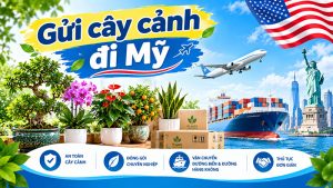 Gửi cây cảnh đi Mỹ giá rẻ, uy tín, nhanh chóng