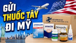 Gửi Thuốc Tây Đi Mỹ Nhanh Chóng, An Toàn, Giá Tốt 2026